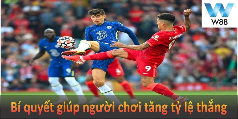 Cá cược thể thao W88