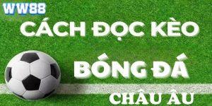 cách đọc kèo châu âu W88